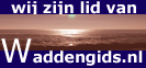 Waddengids